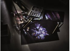 Van Gogh crni akvarel papir i metallic boje