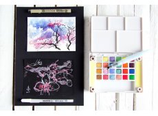Sakura Koi akvarel